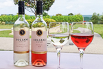 Enjoy Auckland's wine and food with Bush and Beach